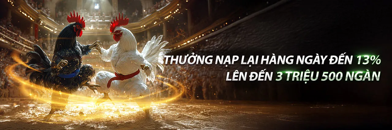 Một trận đấu đá gà cựa sắt kịch tính tại sân Thomo