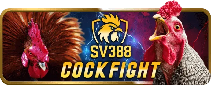 Cá cược thể thao và bóng đá tại pg666 trang chủ chính thức
